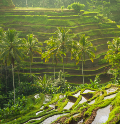 What It’s (Really) Like to Live in Beautiful Bali